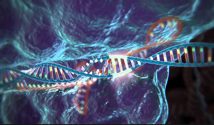 Revolução na Biotecnologia: a Batalha do Século Tem Nome - CRISPR